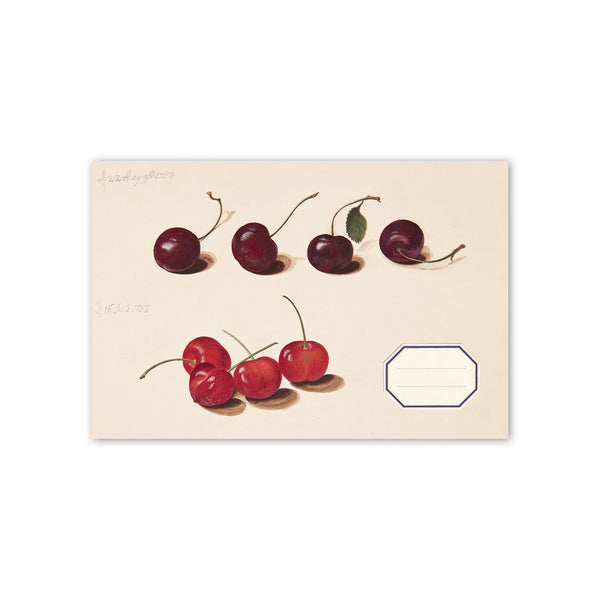 BAB Carnet Artbook à l'Italienne-Carnet-Alibabette Editions-Les cerises-Papeterie du Dôme