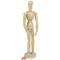 CRTA Wooden Mannequin