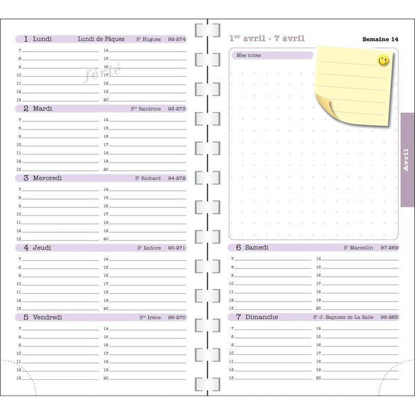 EXA Agenda SAS Semainier Lady 16S Color Design-Agenda-Exacompta-Papeterie du Dôme