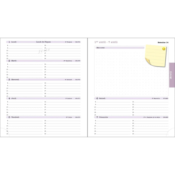 EXA Recharge Agenda Lady 18-Recharge Agenda-Exacompta-Papeterie du Dôme
