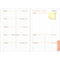 EXA Recharge Agenda Lady 20