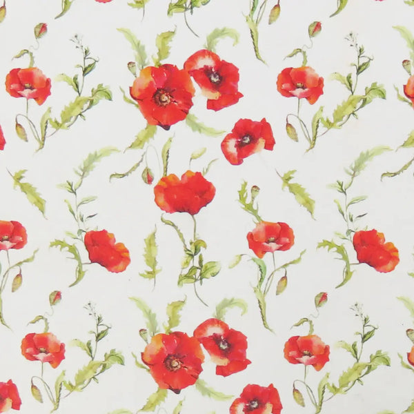 PGM Enveloppe Poppy-Pochette-Epigr'AM-Papeterie du Dôme