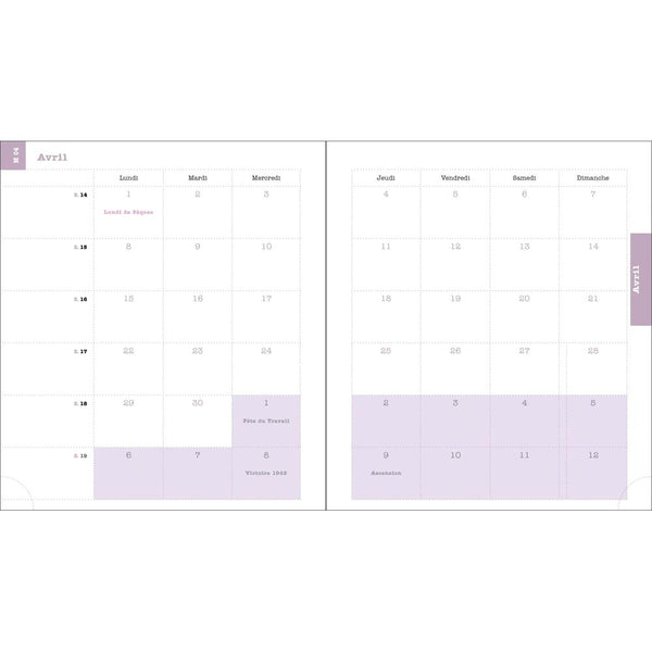 EXA Agenda SAS Semainier Lady 18S Color Design-Agenda-Exacompta-Papeterie du Dôme