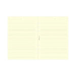 FFX A5 Accessoire Feuilles lignées crème x25-Recharge-Filofax-Papeterie du Dôme