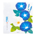 MDR Papier à Lettres-Correspondance-Midori-Morning glory-Papeterie du Dôme