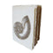 PGM Carnet A5 Nautile Parchemin