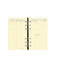 QVD Recharge Agenda Timer 17 Prestige SAD