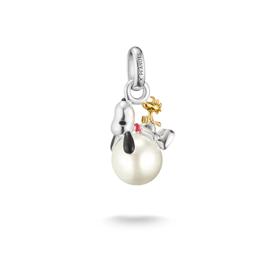 TSB Peanuts™ Charm Snoopy avec Woodstock sur perle – Connect-Bijoux-Thomas Sabo-Papeterie du Dôme