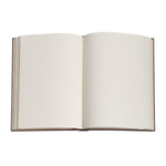 PBKS Carnet Ultra Flexis Souple 176p Uni-Carnet-Paperblanks-Papeterie du Dôme